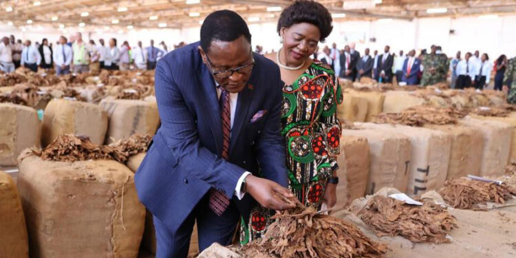 Improved Tobacco Prices Reflect President Chakwera’s Pro-Farmer Leadership