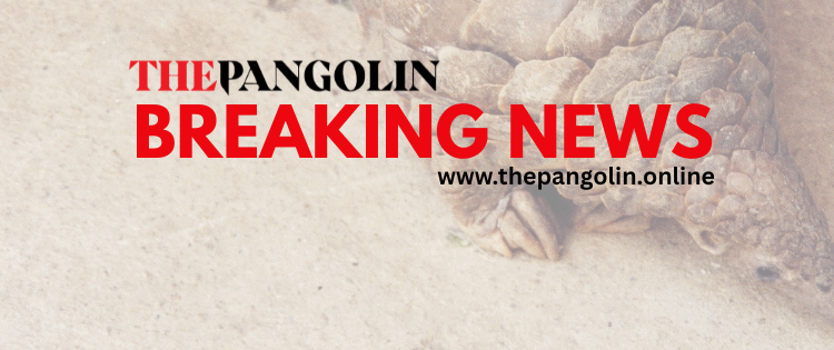 Norman Chisale recruits 400 Retired Army Soldiers, Police Officers for the Mzuzu Bloodbath