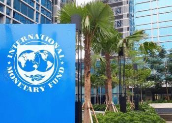 IMF Pulls the Plug—But the Leak Started Long Ago