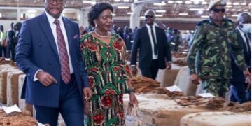 Tobacco Rakes in Highest Sales Since 2003: The Fruits of Chakwera’s Decisive Leadership