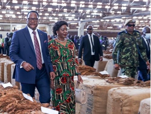 Tobacco Rakes in Highest Sales Since 2003: The Fruits of Chakwera’s Decisive Leadership