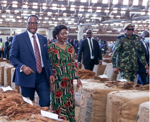 Tobacco Rakes in Highest Sales Since 2003: The Fruits of Chakwera’s Decisive Leadership
